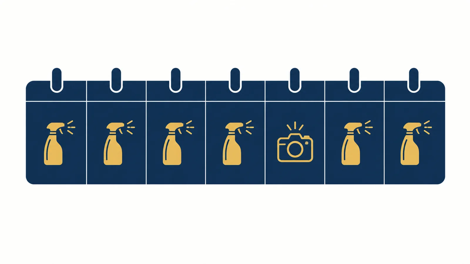 Weekly calendar illustration for a daily gym cleaning program